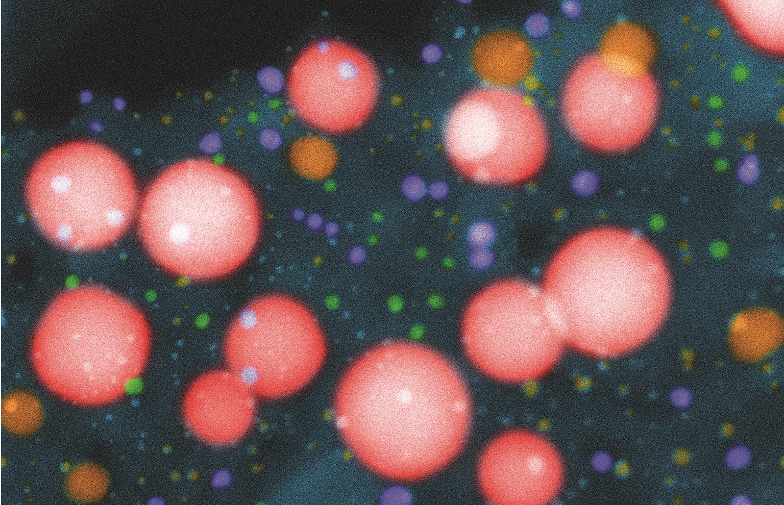 WG2 Training School. Targeting MDR Tumours: from natural product chemistry to nanocarrier-based formulation