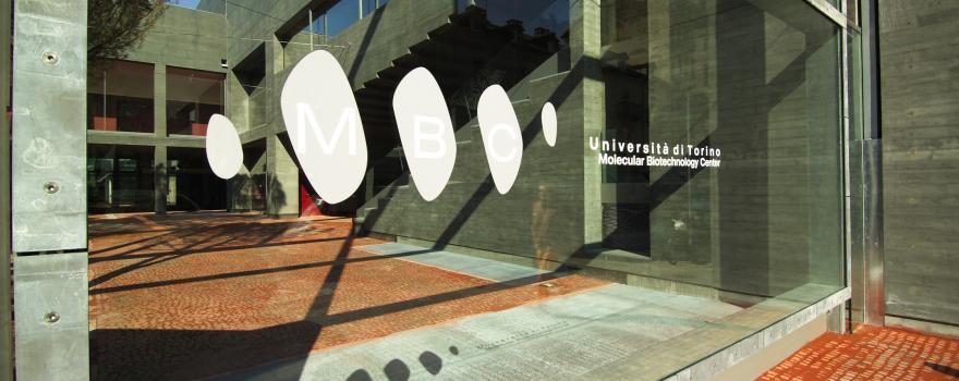 Turin Meeting conference mdr cancer research treatment diagnosis international